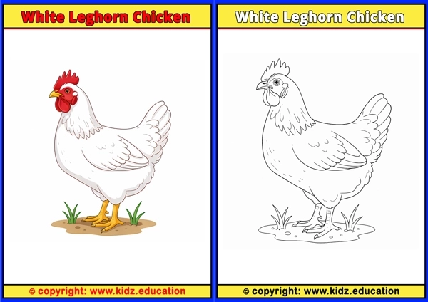 White-backed Vulture - Printable Coloring Page for Kids