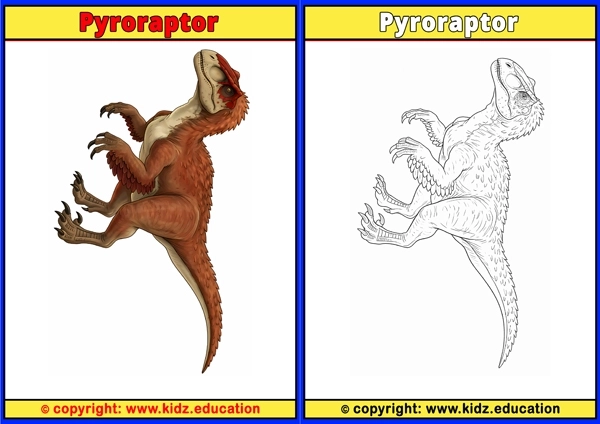 Pyroraptor - Printable Coloring Page for Kids