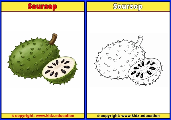 Soursop - Printable Coloring Page for Kids