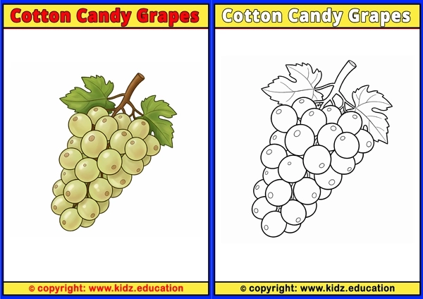 Cotton Candy Grapes - Printable Coloring Page for Kids