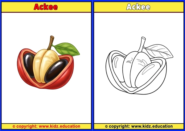 Acai Berry - Printable Coloring Page for Kids