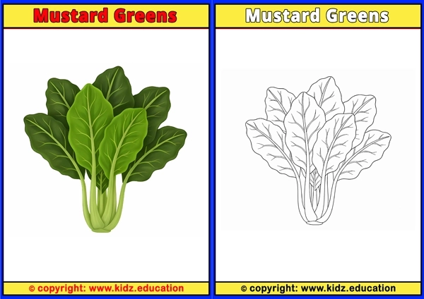 Mustard Greens - Printable Coloring Page for Kids