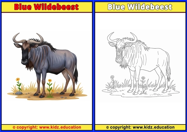 Blue Wildebeest - Printable Coloring Page for Kids
