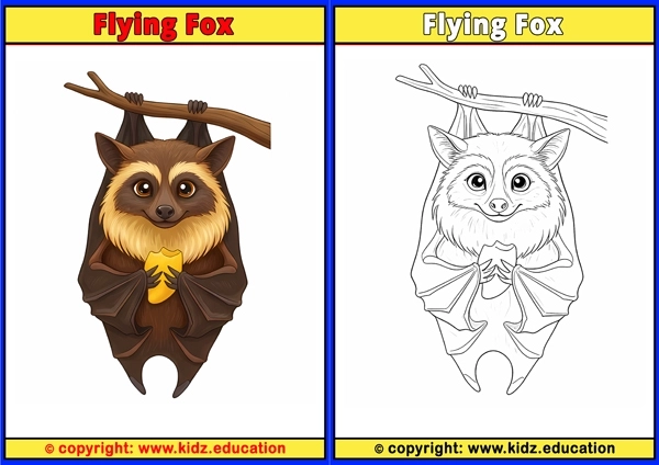 Flying Fox - Printable Coloring Page for Kids