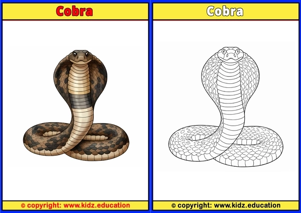 Cobra - Printable Coloring Page for Kids