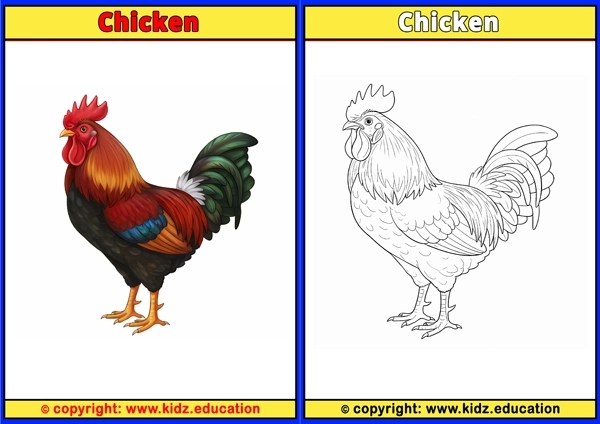Chicken - Printable Coloring Page for Kids