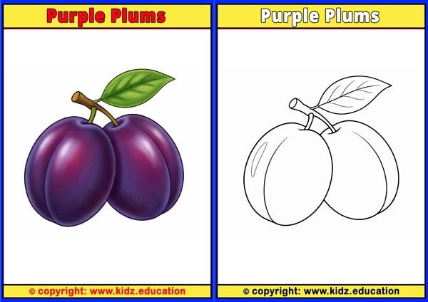 Purple Plums - Printable Coloring Page for Kids