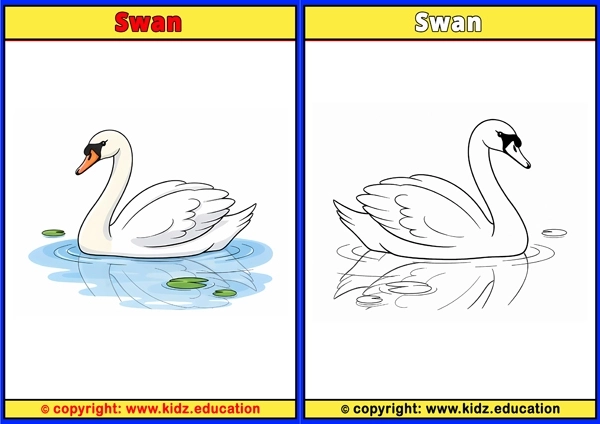 Swift - Printable Coloring Page for Kids