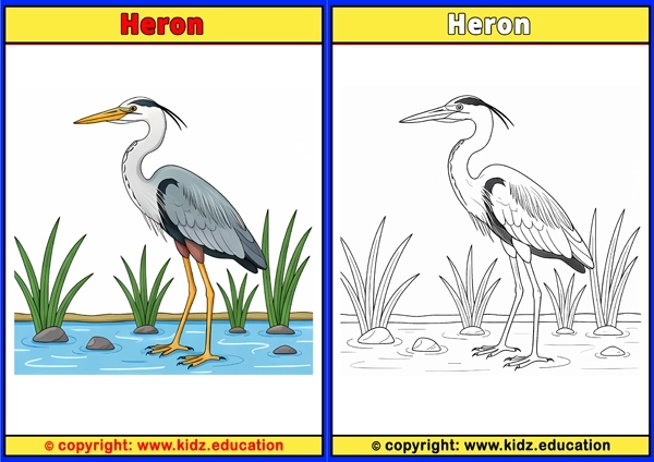 Hesperornis - Printable Coloring Page for Kids
