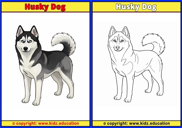 Husky Dog - Printable Coloring Page for Kids