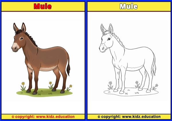 Mule - Printable Coloring Page for Kids