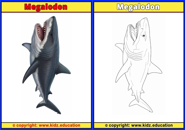 Megalodon - Printable Coloring Page for Kids
