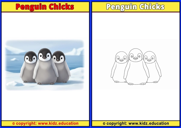 Penguin - Printable Coloring Page for Kids