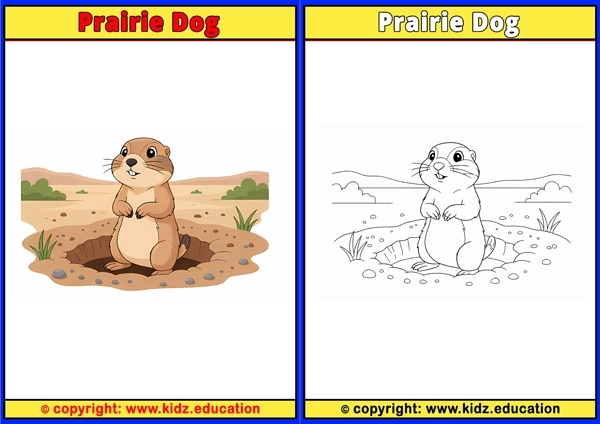Prairie Dog - Printable Coloring Page for Kids
