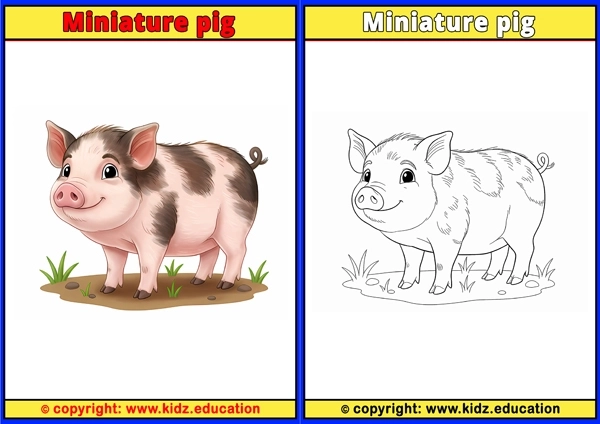Miniature Pig - Printable Coloring Page for Kids
