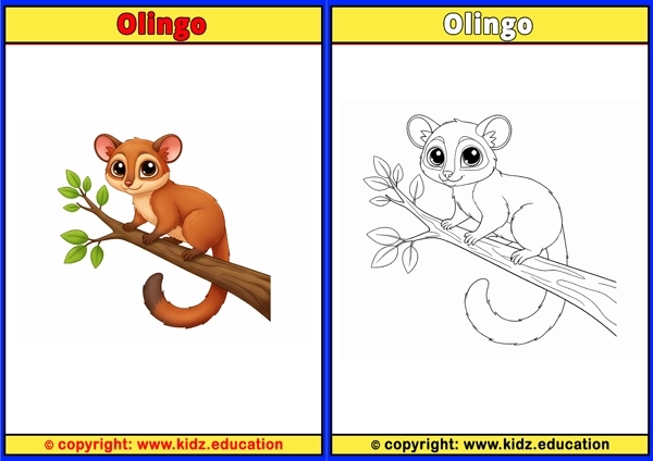 Olingo - Printable Coloring Page for Kids