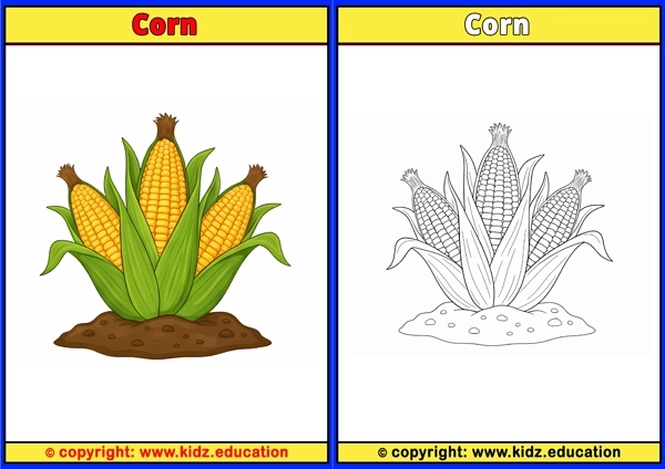 Corn - Printable Coloring Page for Kids