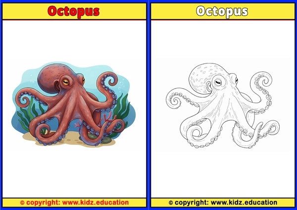 Octopus2 - Printable Coloring Page for Kids