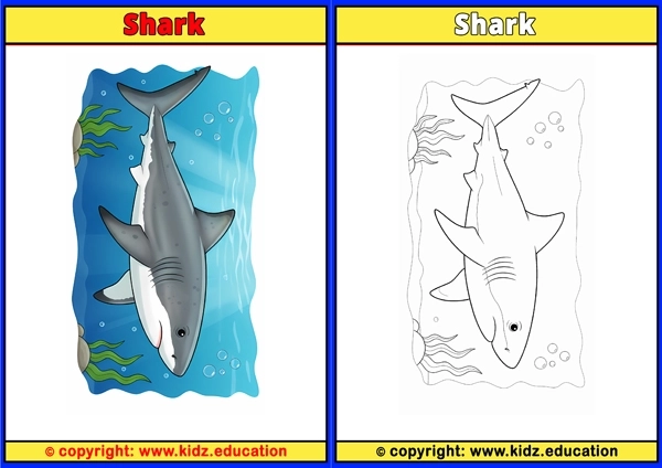 Shark - Printable Coloring Page for Kids