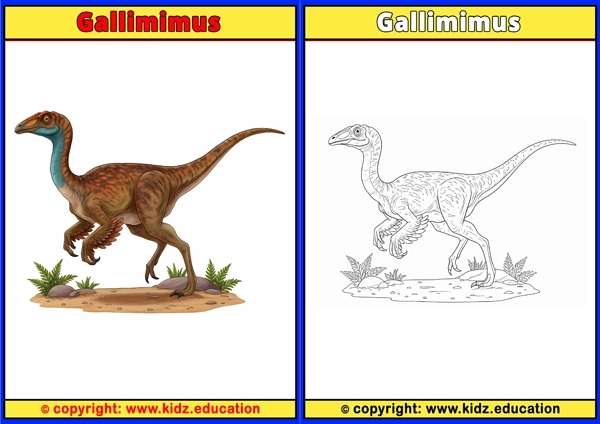 Gallimimus - Printable Coloring Page for Kids