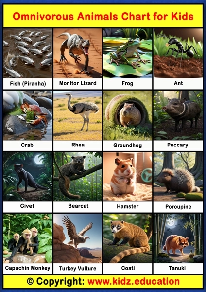 Omnivorous Animals Chart - 3 | Printable Educational Chart for Kids