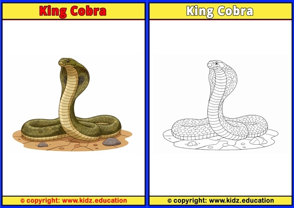 King Cobra - Printable Coloring Page for Kids