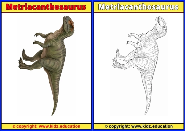 Metriacanthosaurus - Printable Coloring Page for Kids