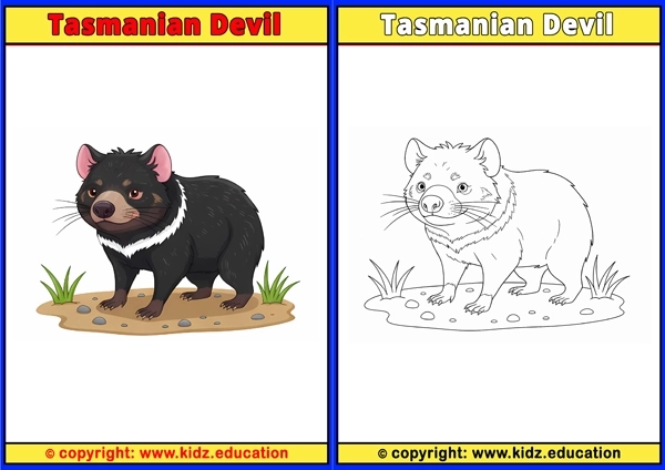 Tasmanian Devil - Printable Coloring Page for Kids