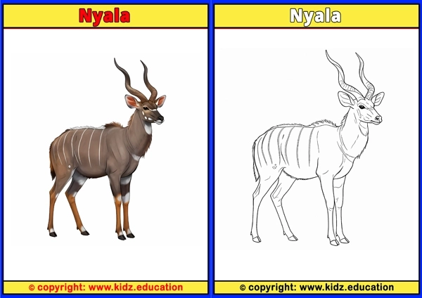 Nyala - Printable Coloring Page for Kids