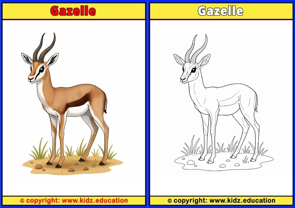 Gazelle - Printable Coloring Page for Kids