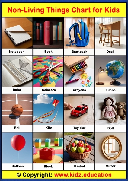 Non-Living Things Chart - 3 | Printable Educational Chart for Kids