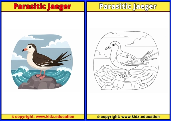 Parrot - Printable Coloring Page for Kids