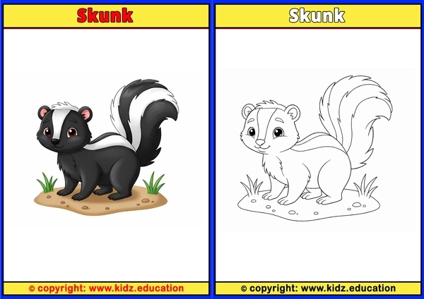 Skunk - Printable Coloring Page for Kids
