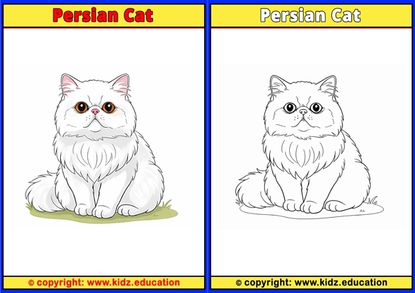 Persian Cat - Printable Coloring Page for Kids