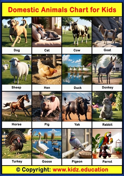 Domestic Animals Chart - 1 | Printable Educational Chart for Kids