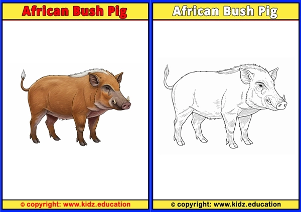 African Bush Pig - Printable Coloring Page for Kids