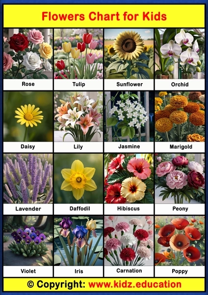 Flowers Chart – 1 | Printable Educational Chart for Kids