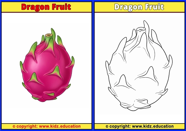 Dragon Fruit - Printable Coloring Page for Kids