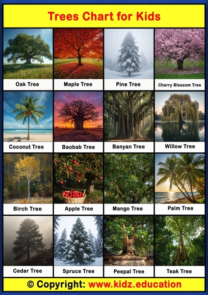 Trees Chart – 1 | Printable Educational Chart for Kids