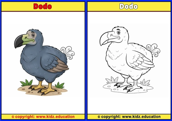 Dodo - Printable Coloring Page for Kids