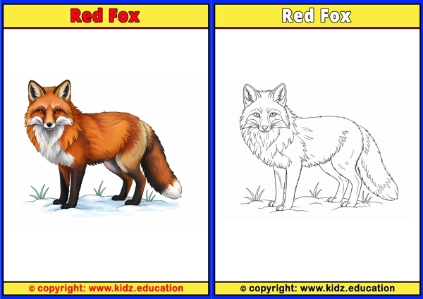 Red Fox - Printable Coloring Page for Kids