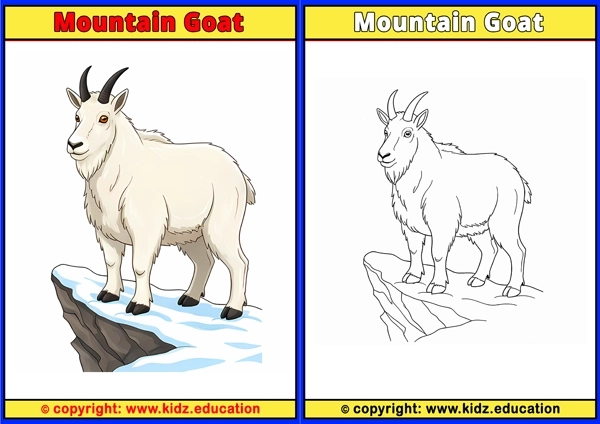 Mountain Goat - Printable Coloring Page for Kids