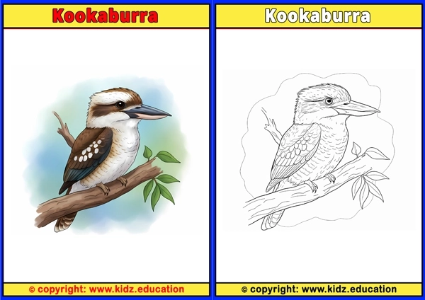 Lappet-faced Vulture - Printable Coloring Page for Kids