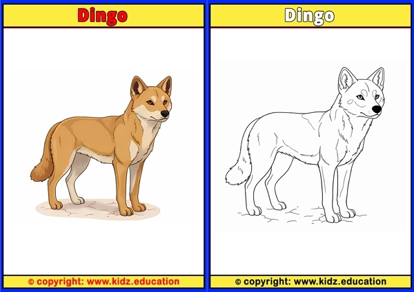 Dingo - Printable Coloring Page for Kids