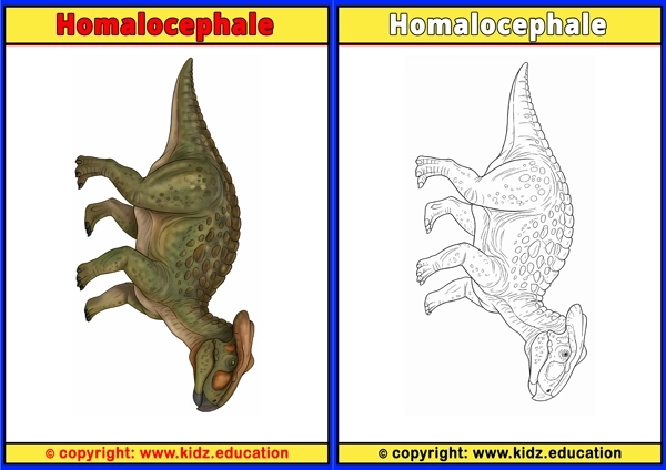 Homalocephale - Printable Coloring Page for Kids