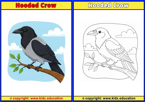 Hoopoe - Printable Coloring Page for Kids