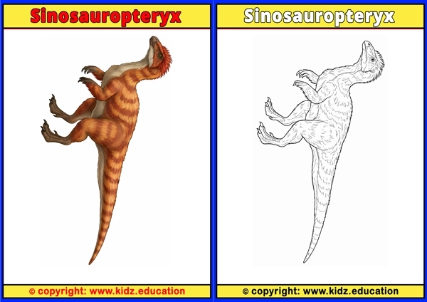 Sinosauropteryx - Printable Coloring Page for Kids
