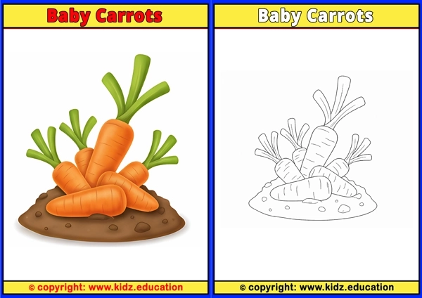 Baby Carrots - Printable Coloring Page for Kids