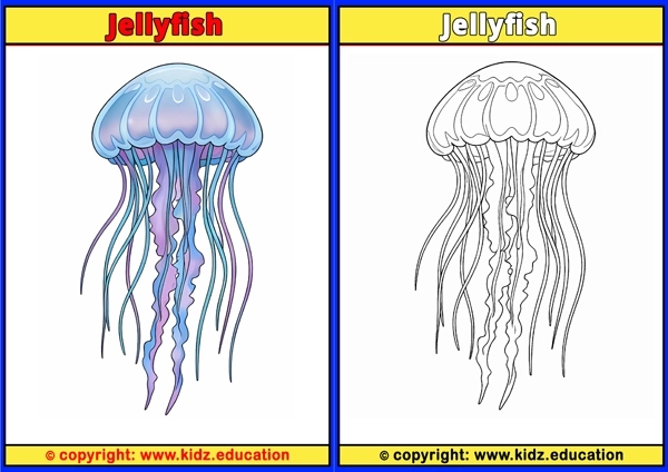 Jellyfish - Printable Coloring Page for Kids