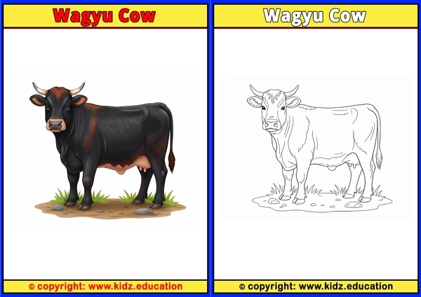 Wagyu Cow - Printable Coloring Page for Kids